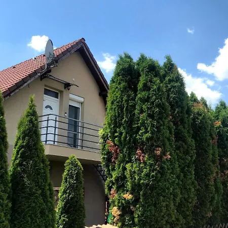 Tulipan Kapolnasnyek