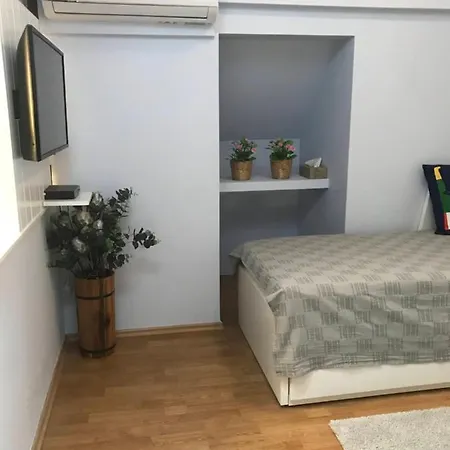 Tulipan Kapolnasnyek