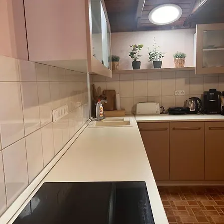 Apartment Tulipan